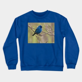 Indigo Bunting No.1 Crewneck Sweatshirt